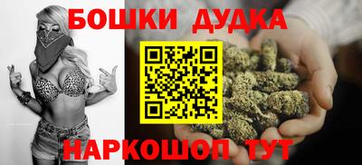 мдпв Будённовск