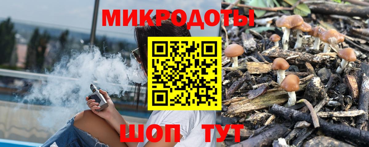 Галлюциногенные грибы Magic Shrooms  Вход с VPN  Тайшет 