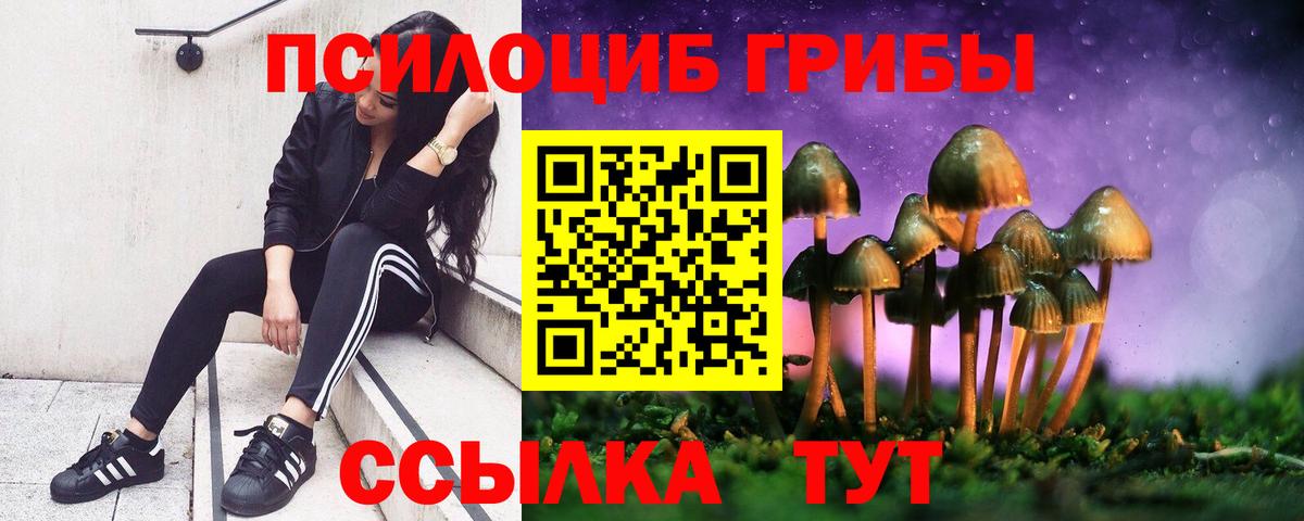 Псилоцибиновые грибы мицелий Тайшет